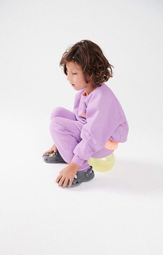 American -Vintage - Sweatshirt Izubird in Flieder