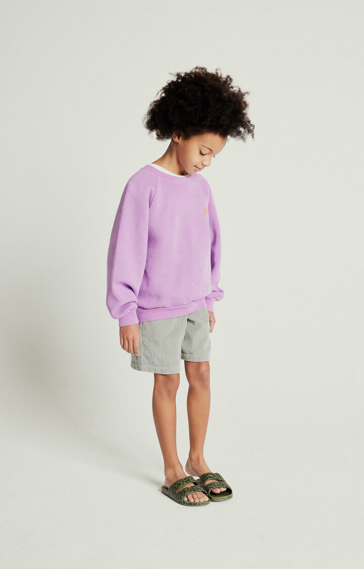 American -Vintage - Sweatshirt Izubird in Flieder