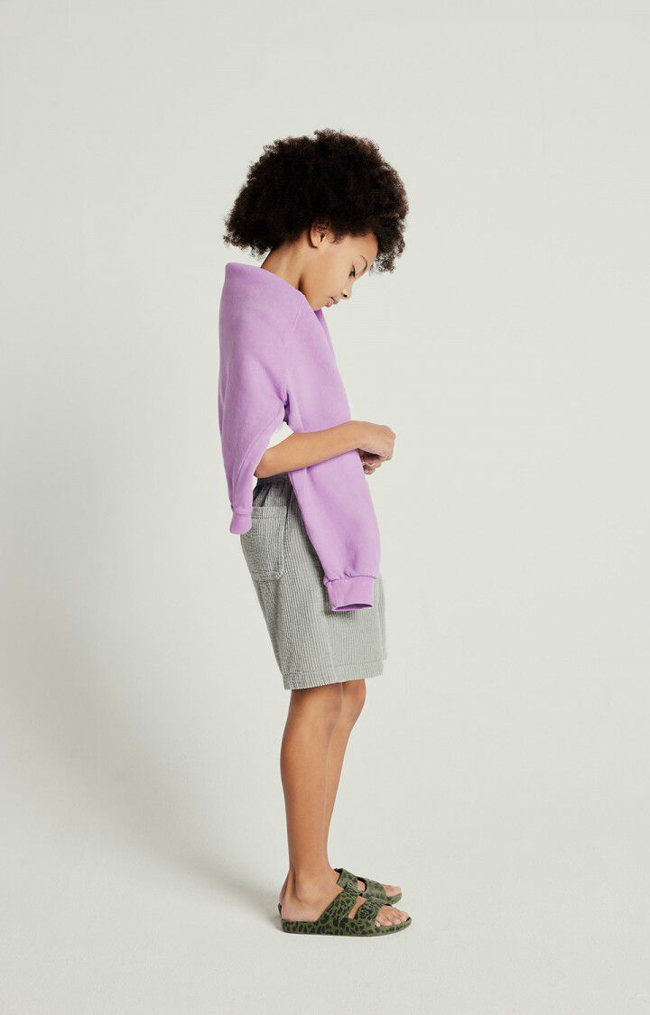 American -Vintage - Sweatshirt Izubird in Flieder