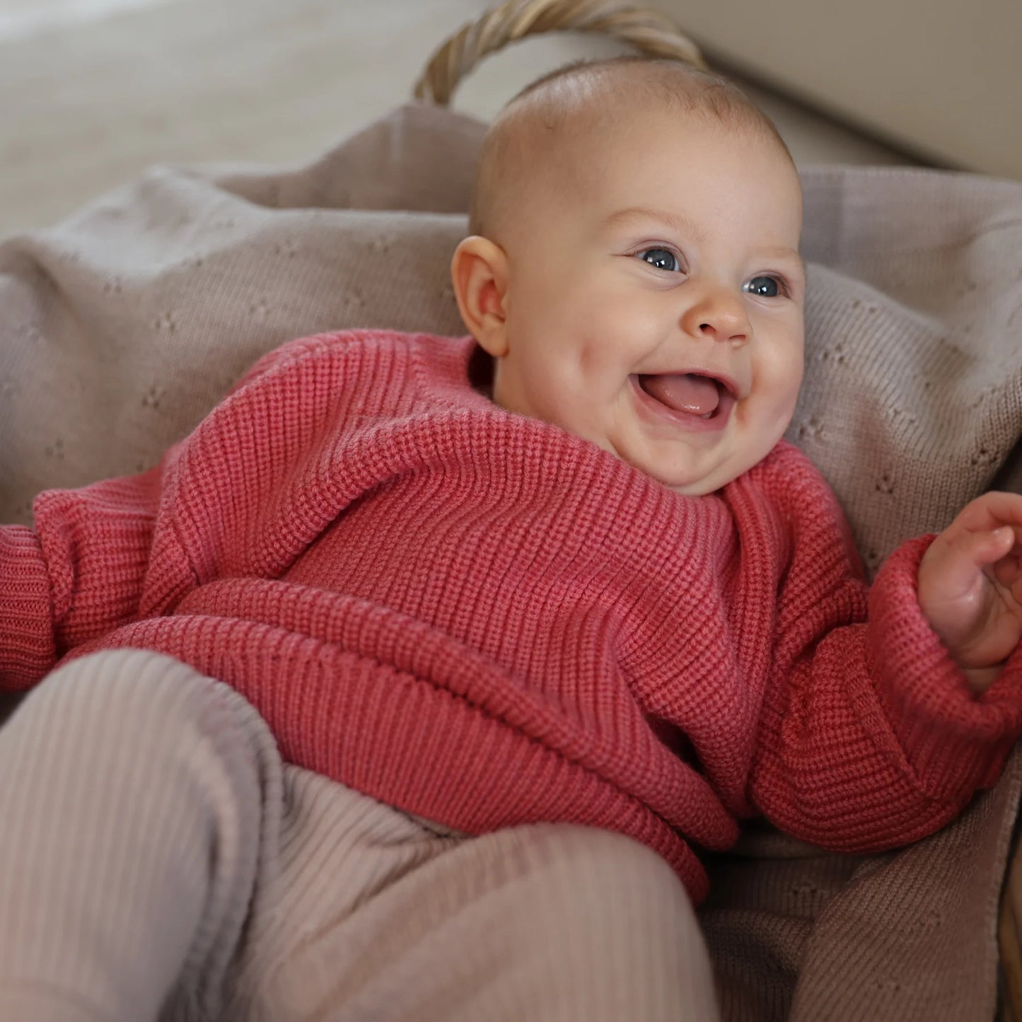 Lille Toni - Pullover Paul aus 100 % Merinowolle in CHERRY New in AW25