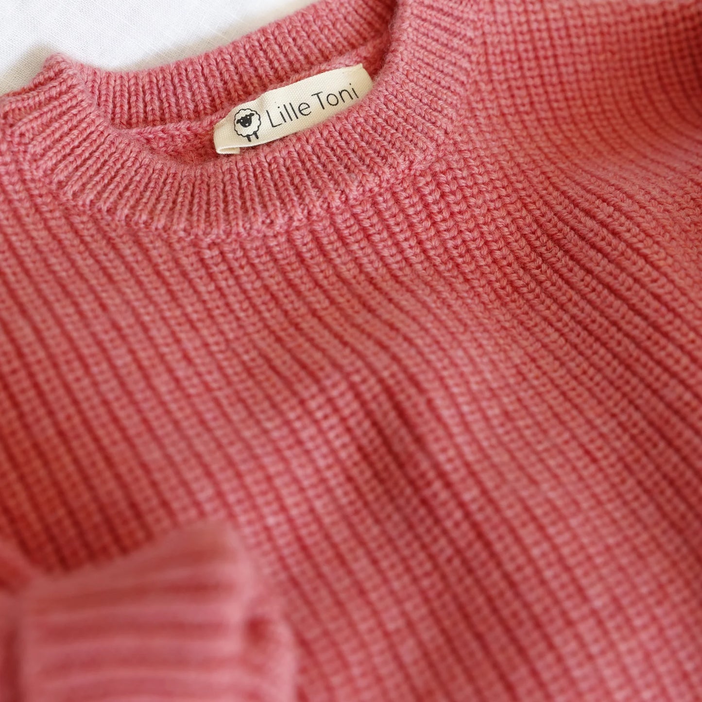 Lille Toni - Pullover Paul aus 100 % Merinowolle in CHERRY New in AW25