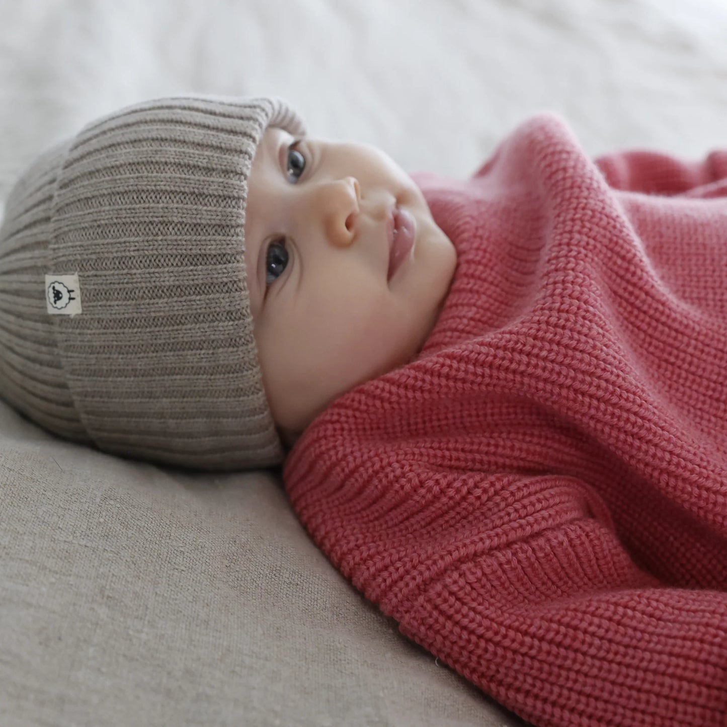 Lille Toni - Pullover Paul aus 100 % Merinowolle in CHERRY New in AW25