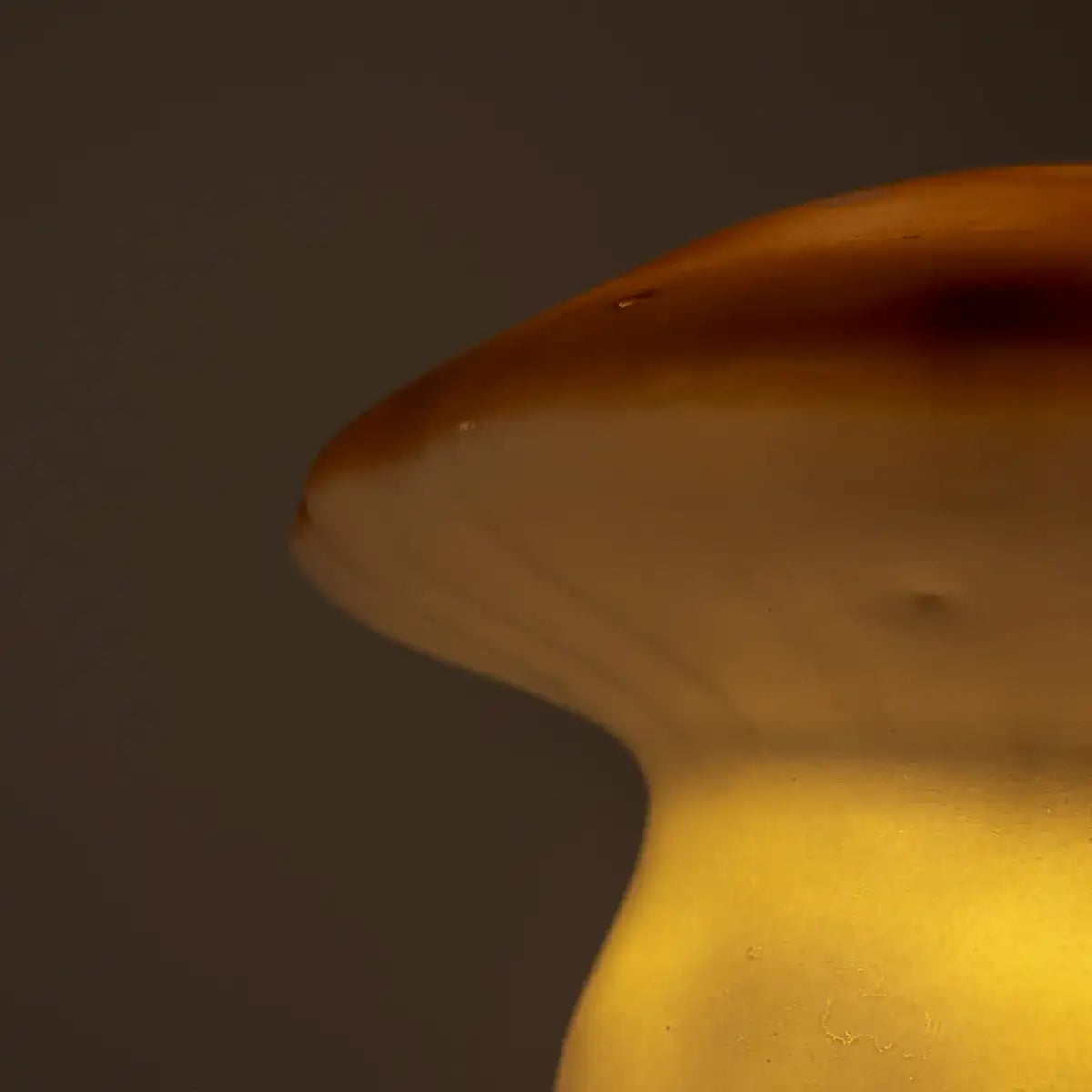 Egmont Toys - Pilzlampe mittel in Schokolade