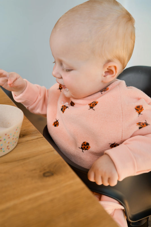 Little Casimir - Kinder Boo Lätzchen Marienkäfern Love Bugs