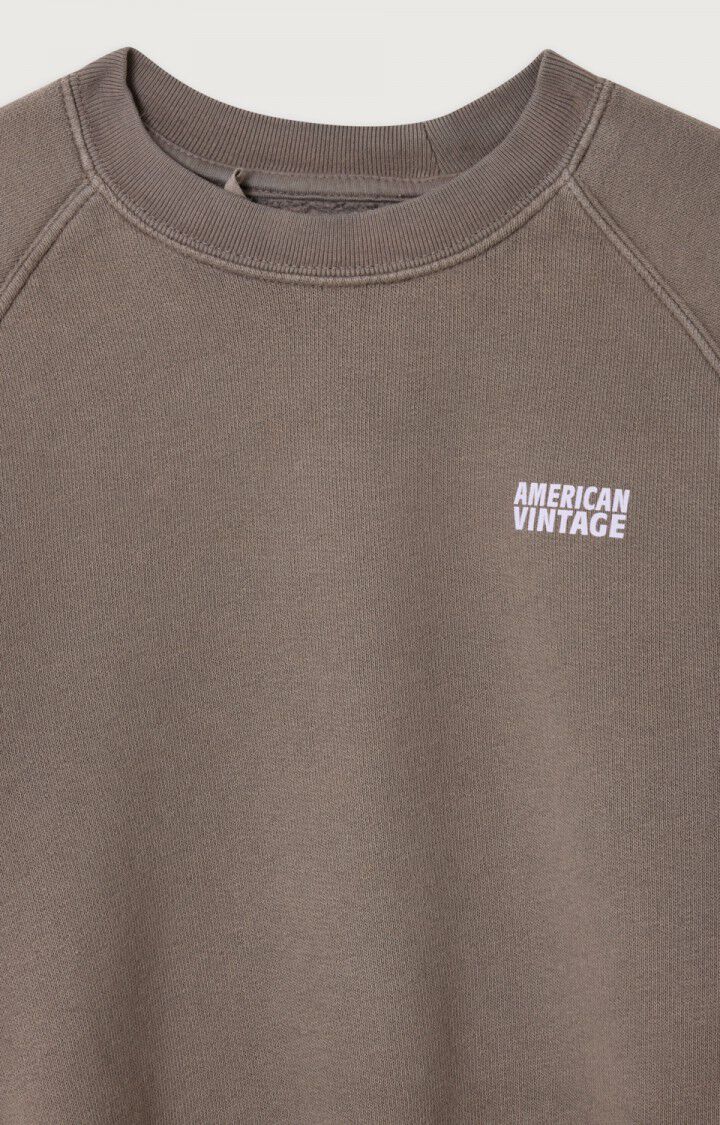 American VIntage - Izubird Sweatshirt in Taupebraun