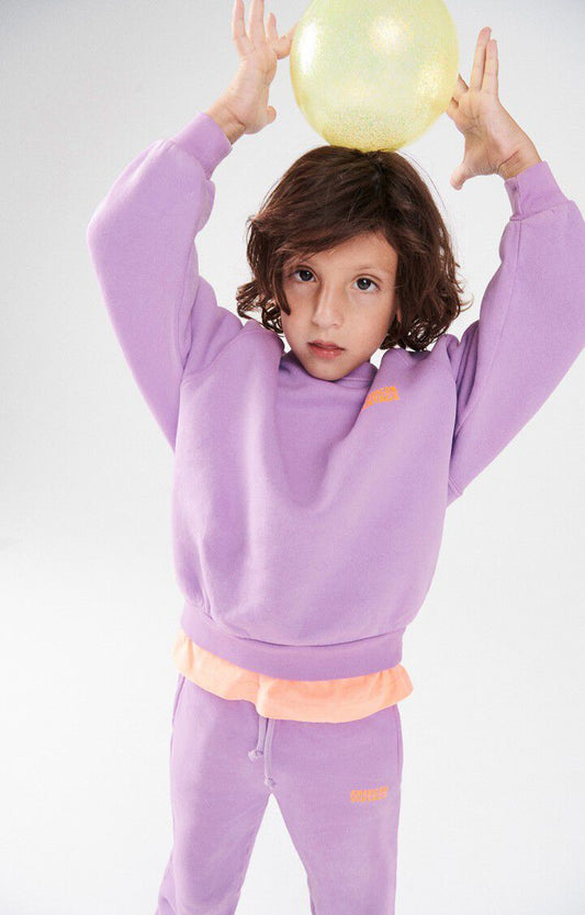 American -Vintage - Sweatshirt Izubird in Flieder
