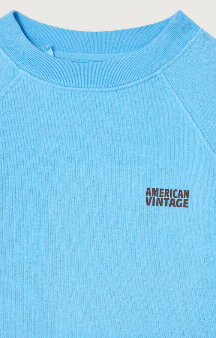 American Vintage - kurzes Sweater Izubird in Skyblue