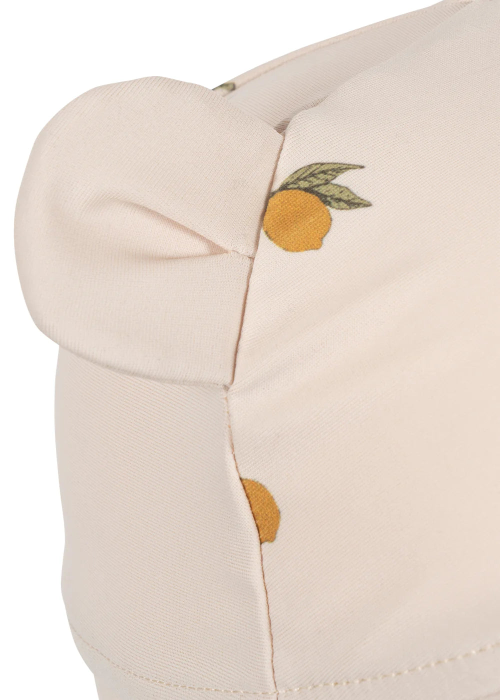 Konges -Aster Sonnenhut Bär