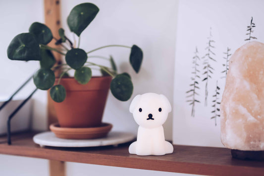 Mr Maria Mini-Nachtlicht Snuffy - Miffy Bundle of Light